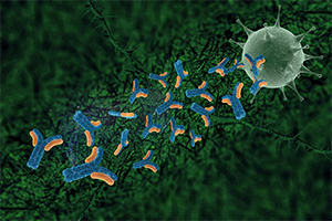 FDA Authorizes Most Accurate Antibody Test Yet 