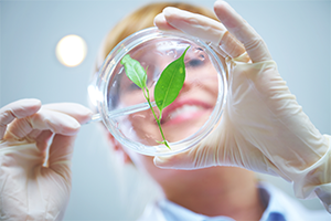 Biopharmaceutical Market Directions: The Next Decade in Plasmapheresis Treatment