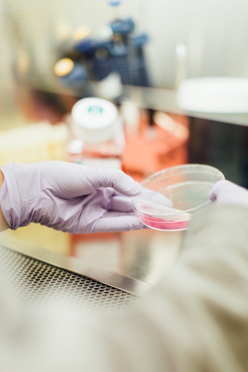 Medical Device Certification Programs Keep Employees Up-to-Date with Industry Technology